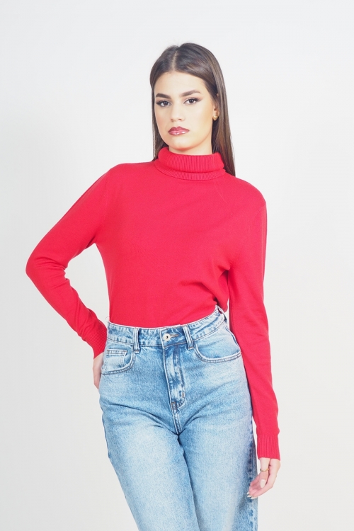 Soft knit turtleneck top Georgia